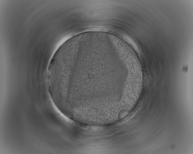 X0000090921095200708201800