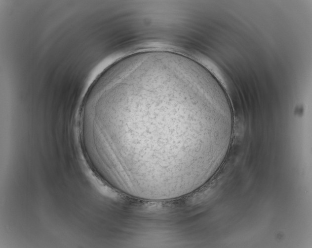 X0000090921098200708201800