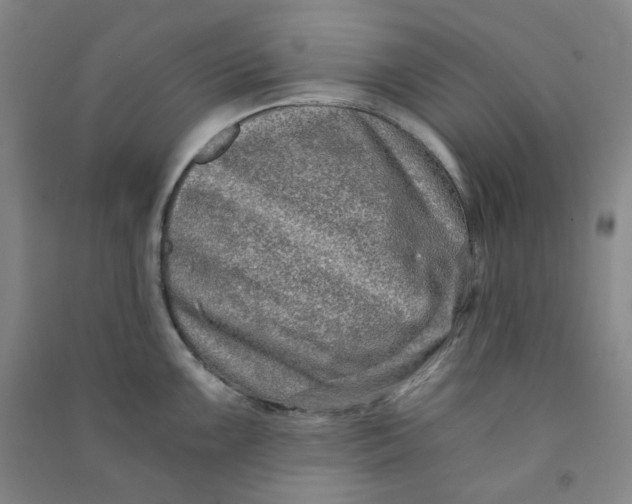 X0000090921099200708201800