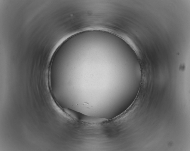 X0000090921100200708201800