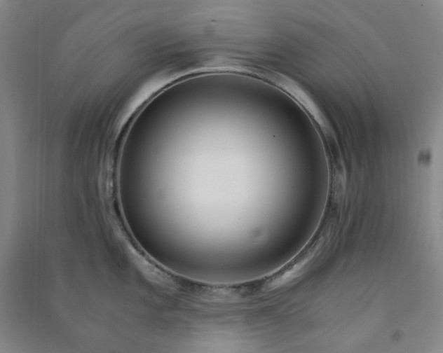 X0000090921101200708201800