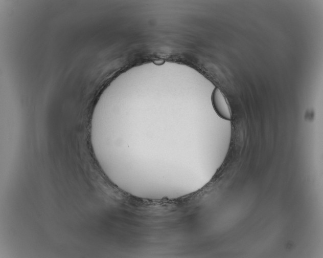 X0000090921105200708201759