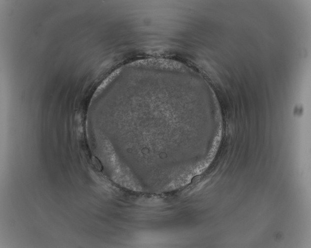 X0000090921106200708201759