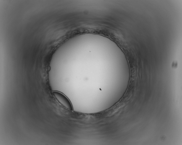 X0000090921109200708201759