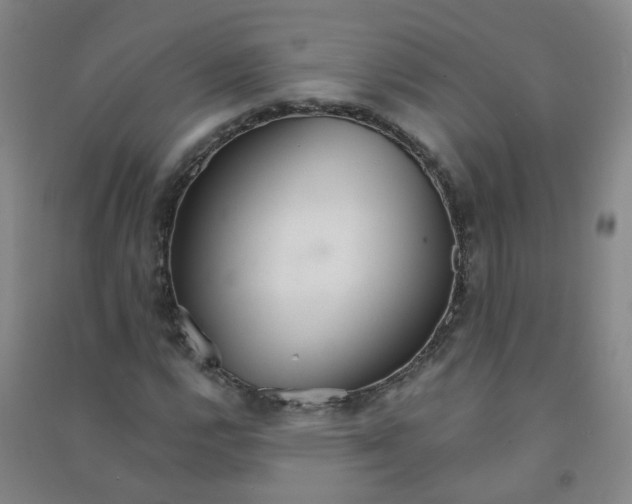 X0000090921112200708201759