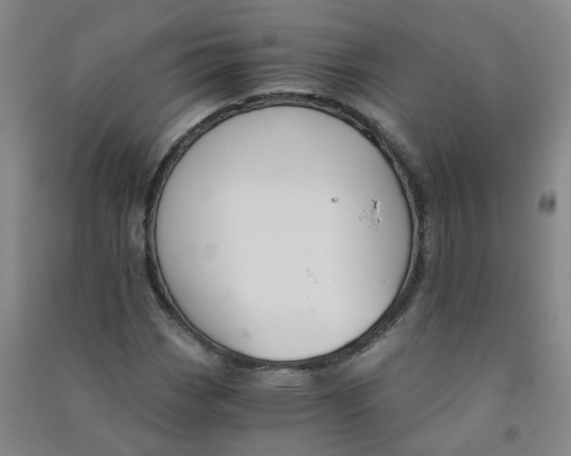 X0000090921113200708201759