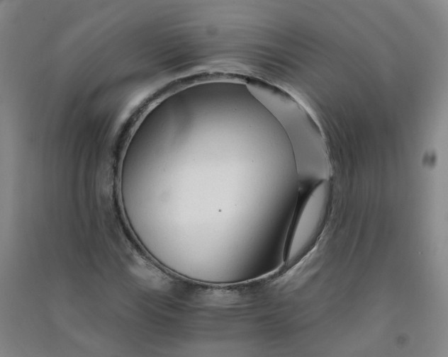 X0000090921115200708201800