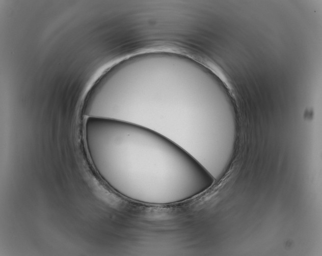 X0000090921116200708201800