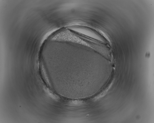 X0000090921117200708201800