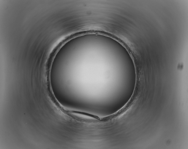 X0000090921118200708201800