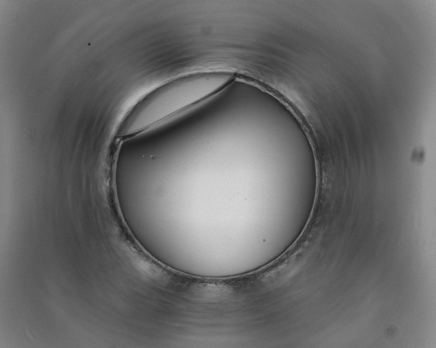 X0000090921119200708201800