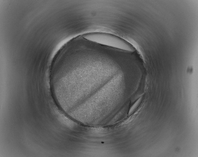 X0000090921120200708201800