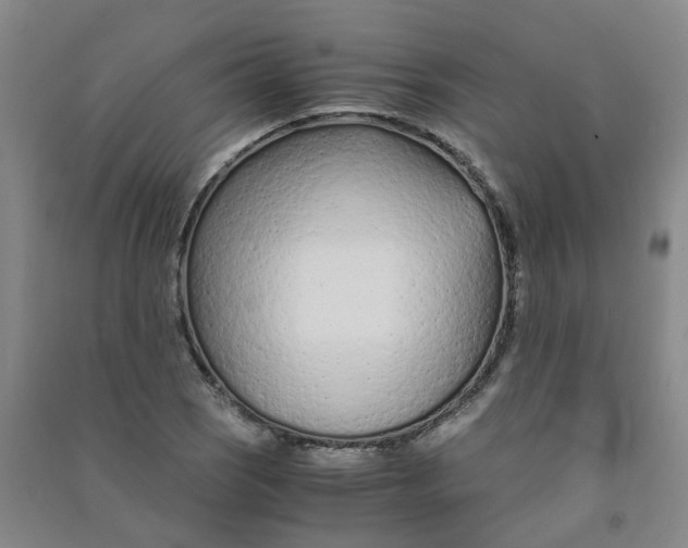 X0000090921121200708201800