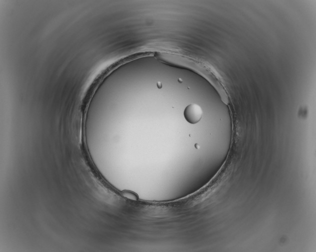 X0000090921123200708201800