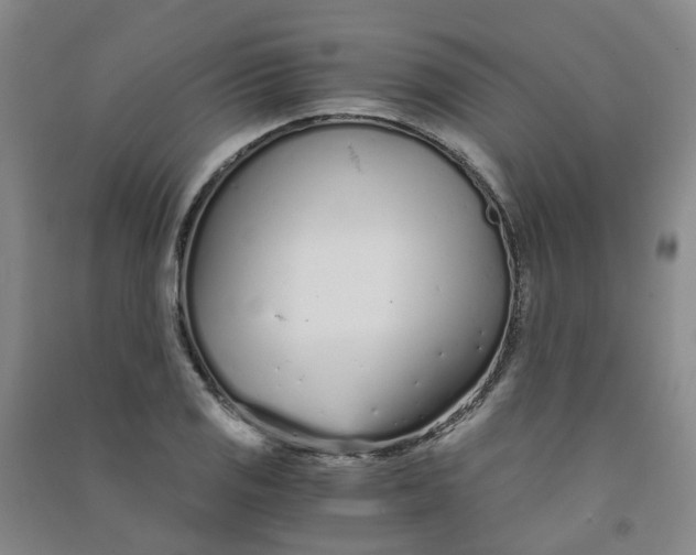 X0000090921125200708201800