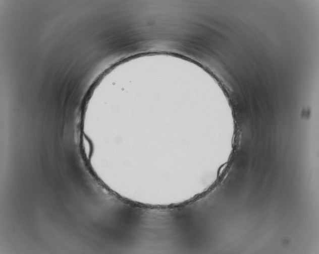 X0000090921126200708201800