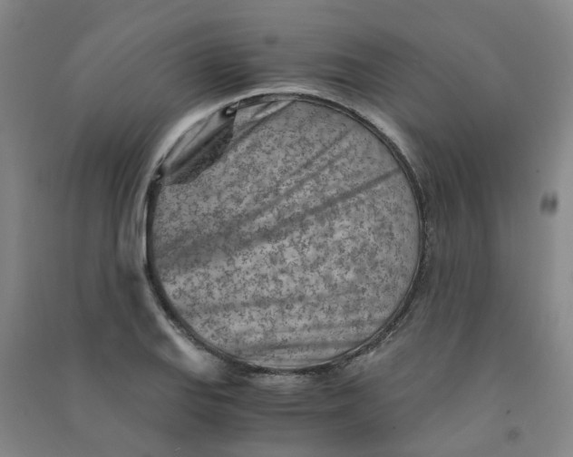 X0000090921127200708201800