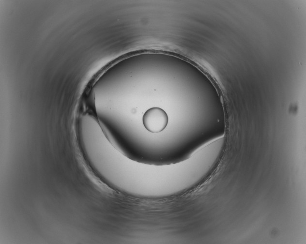 X0000090921128200708201800