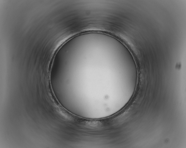 X0000090921129200708201800