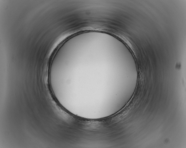 X0000090921131200708201800