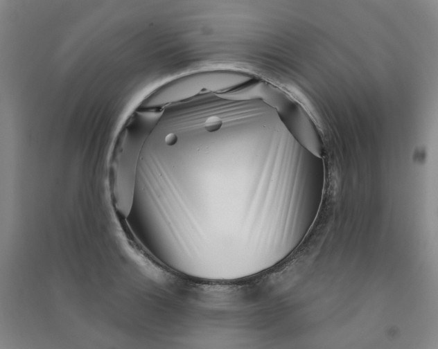 X0000090921132200708201800