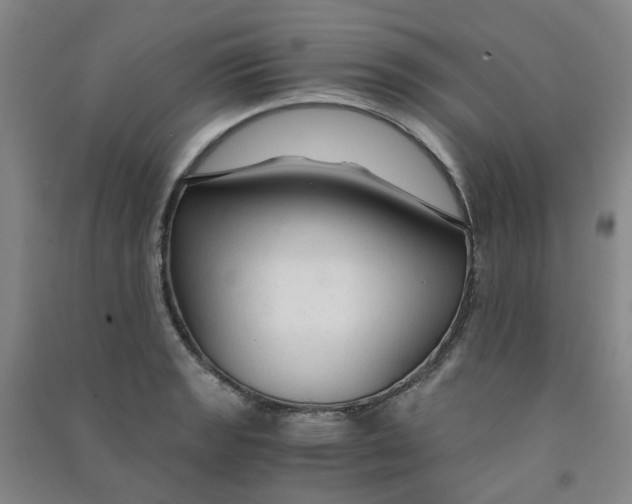 X0000090921133200708201800