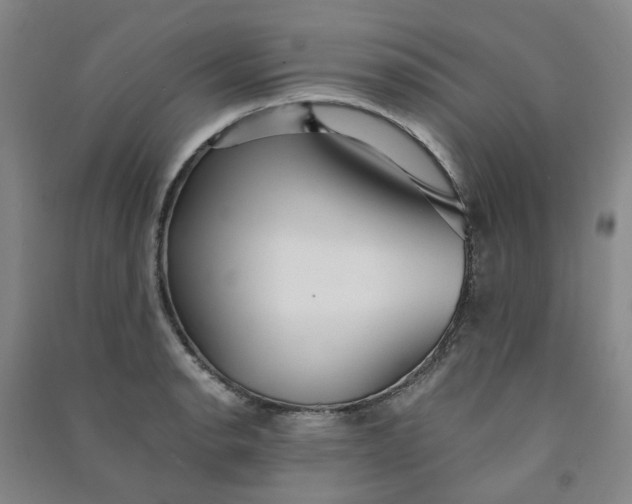 X0000090921134200708201800