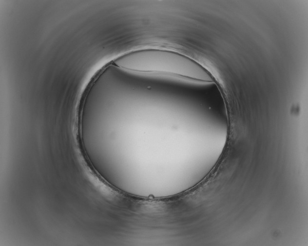 X0000090921136200708201800