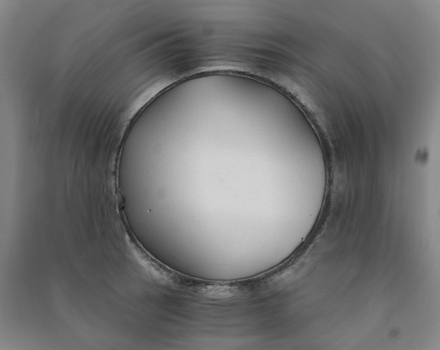 X0000090921137200708201800