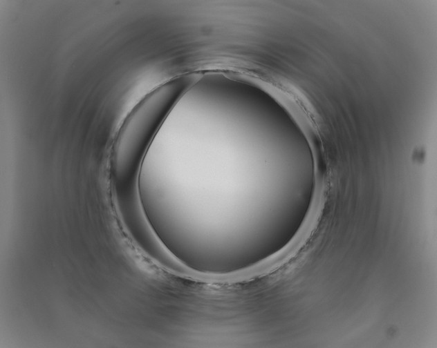 X0000090921138200708201800