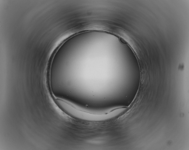 X0000090921139200708201800