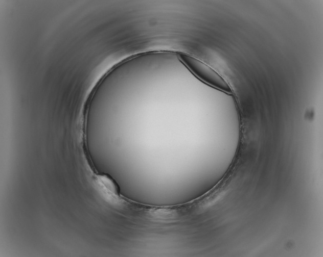 X0000090921140200708201800