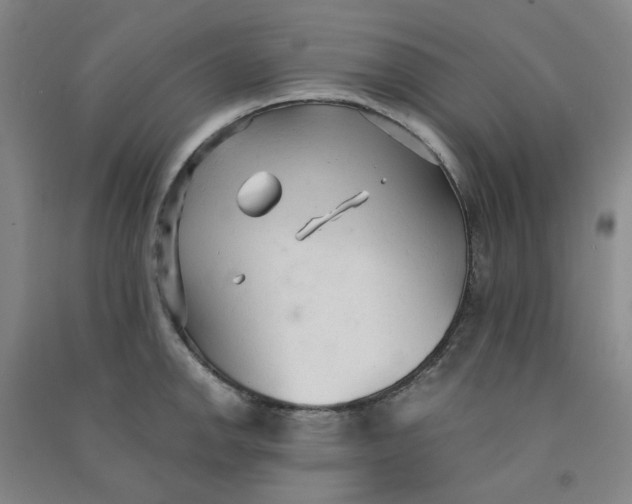 X0000090921142200708201800