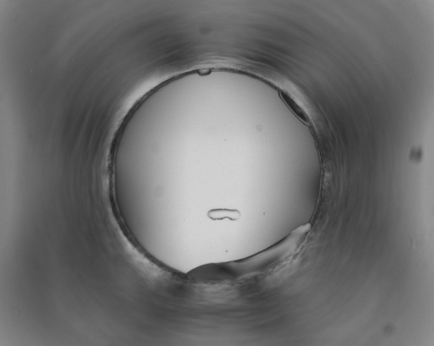 X0000090921143200708201800