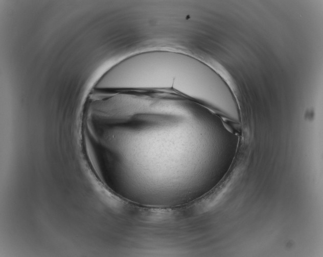 X0000090921144200708201800