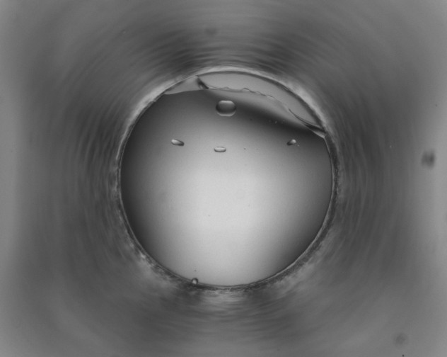 X0000090921145200708201800