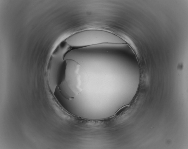 X0000090921146200708201800