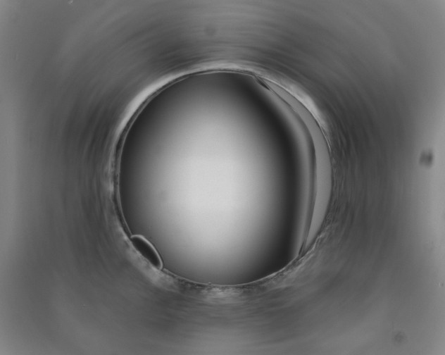 X0000090921148200708201800