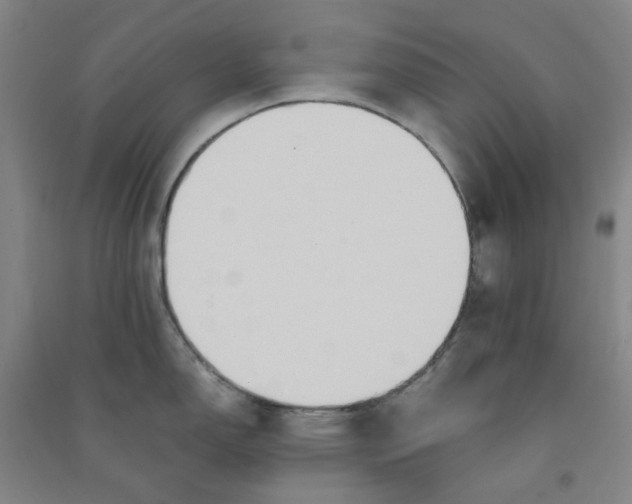 X0000090921150200708201800