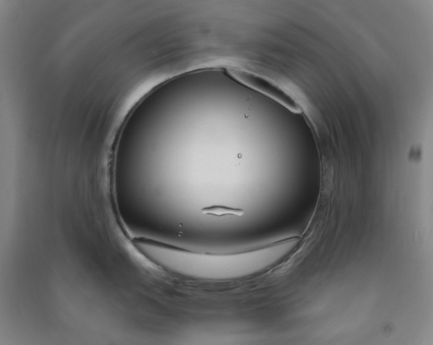 X0000090921151200708201800