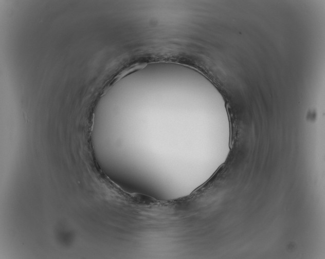 X0000090921153200708201759