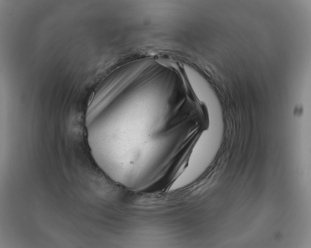 X0000090921156200708201759