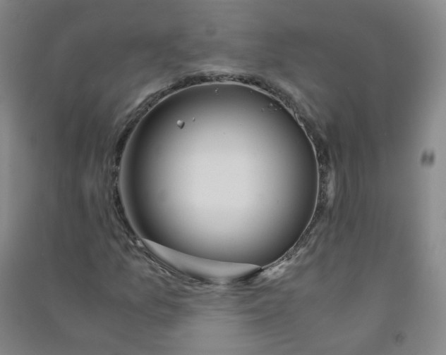 X0000090921157200708201759