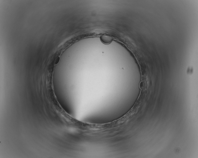 X0000090921158200708201759