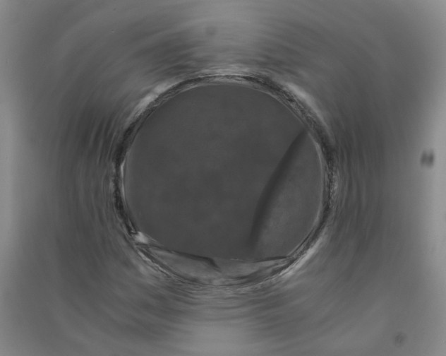 X0000090921161200708201759