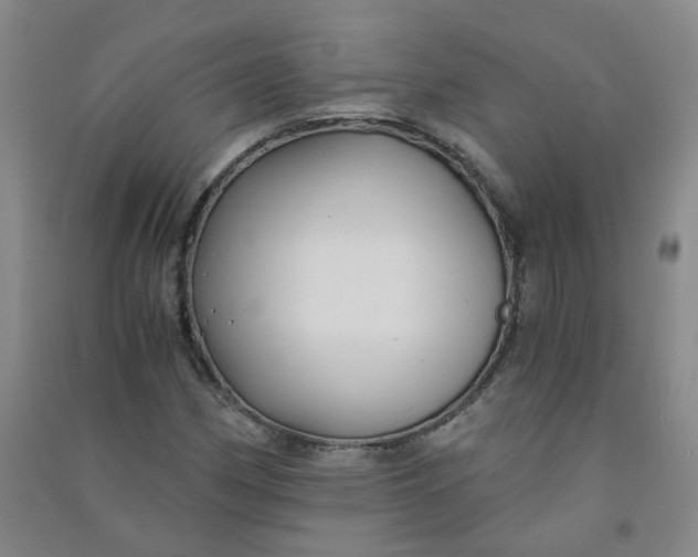 X0000090921162200708201759