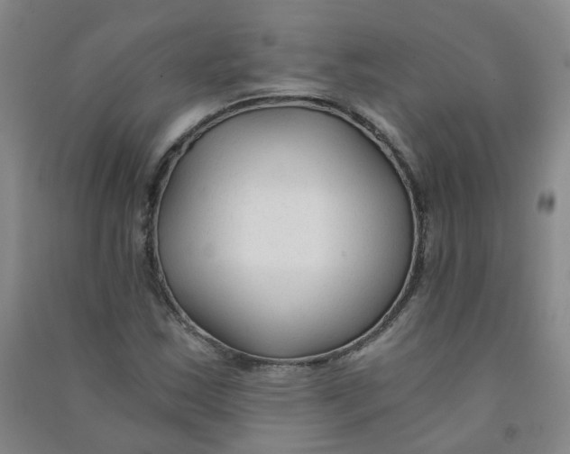 X0000090921163200708201759