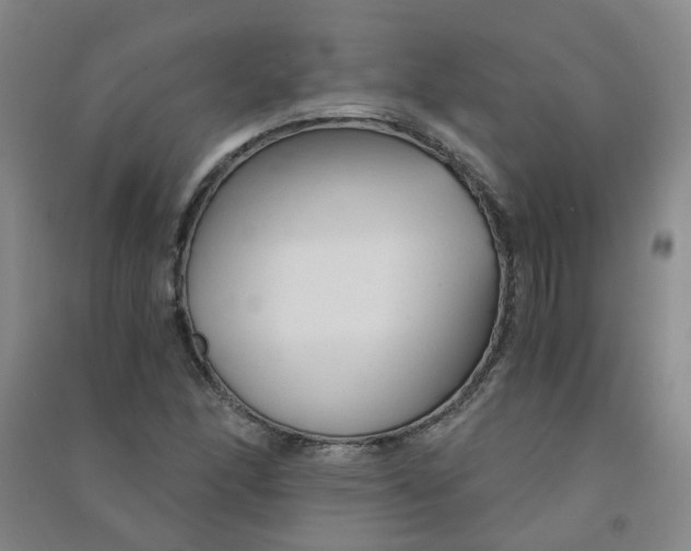 X0000090921166200708201759