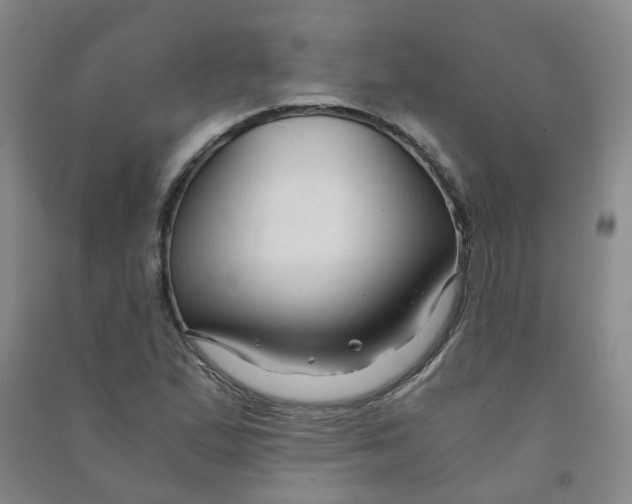 X0000090921167200708201759