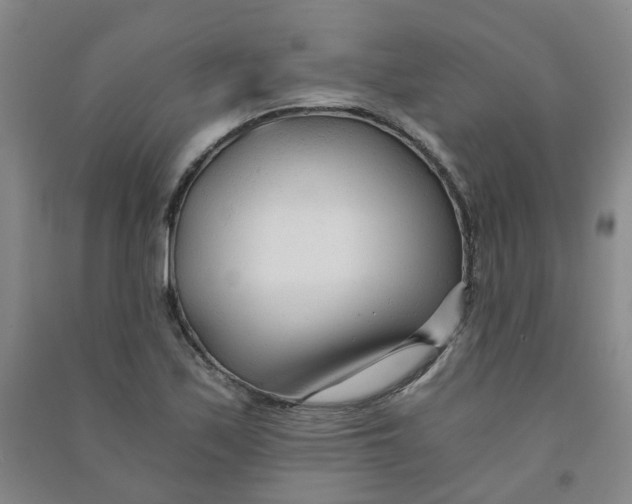 X0000090921171200708201759